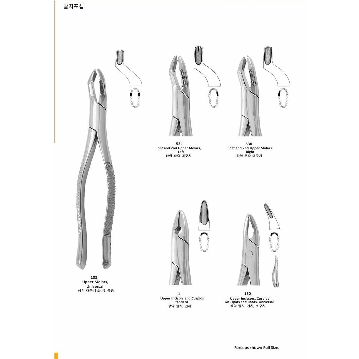 [Extracting forceps]  10S, 53L, 53R, 1, 150
